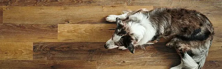 Luxury Vinyl Flooring | Specialty Flooring