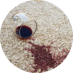 Carpet flooring care | Specialty Flooring