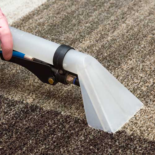 Carpet Cleaning | Specialty Flooring