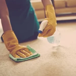 Area rug care | Specialty Flooring