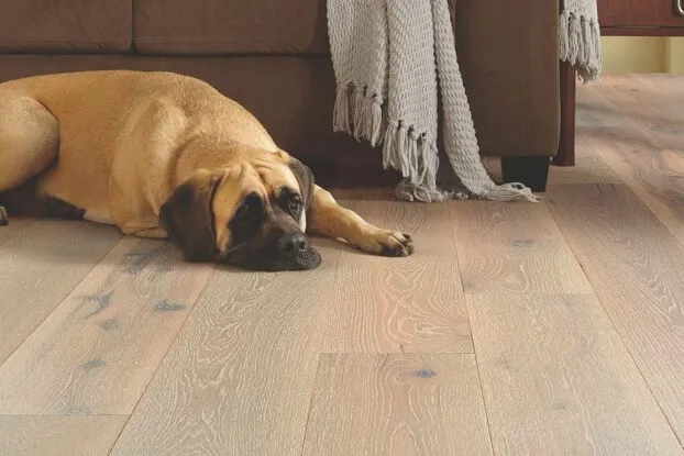 Hardwood flooring | Specialty Flooring